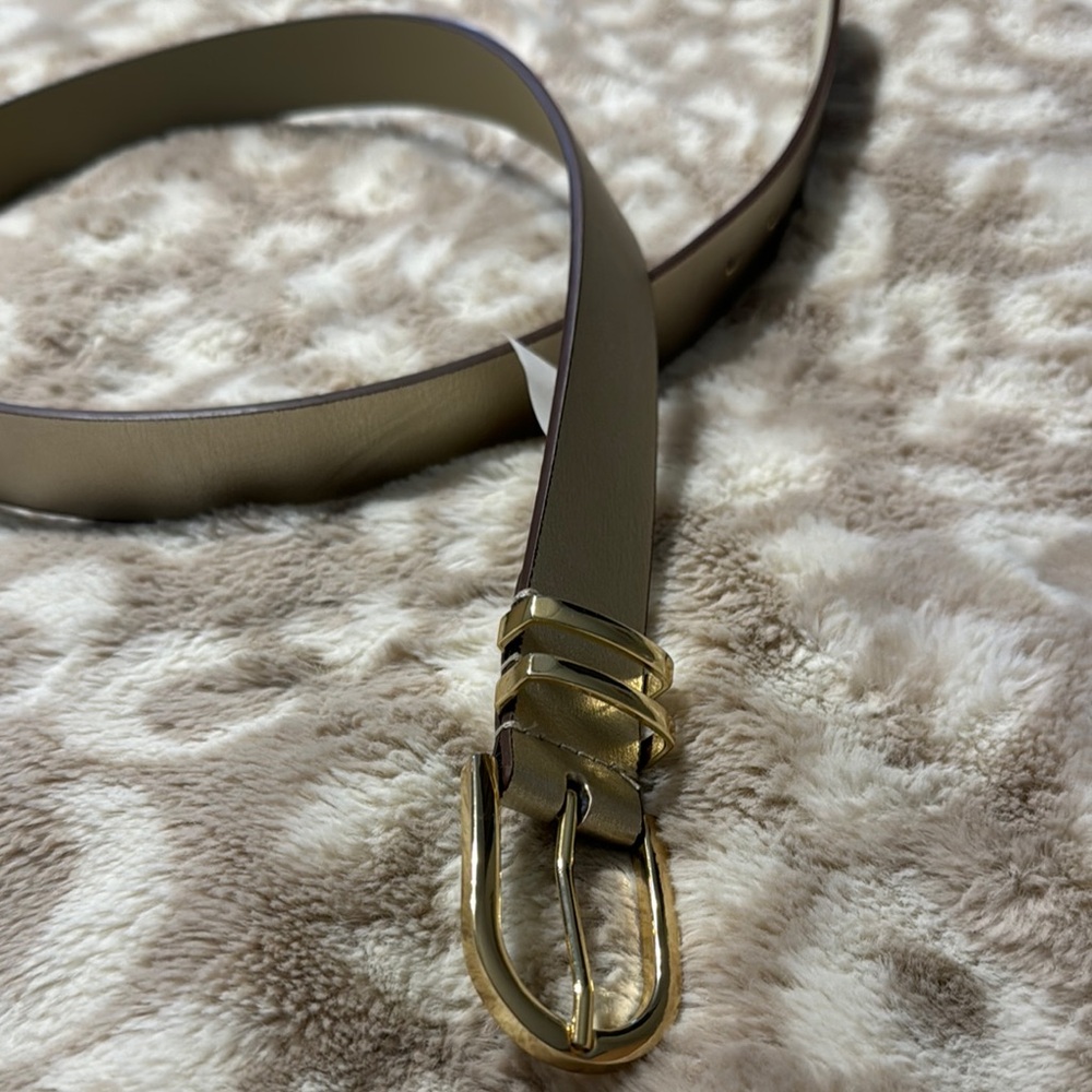 Elegant Gold Buckle Women's Belt